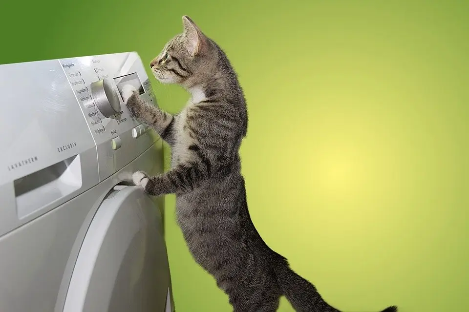Dryer-Repair--in-Charlotte-North-Carolina-dryer-repair-charlotte-north-carolina.jpg-image